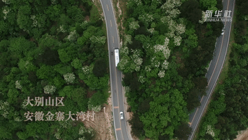 0b74812247394254db8f7ea4783ecb69.gif