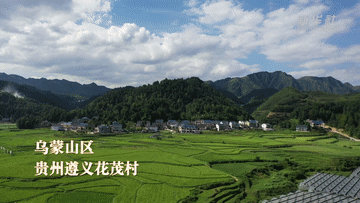 19fdd6ab49ce37a4298c1abec9feb398.gif