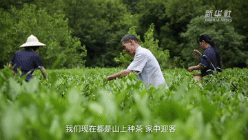 1d9e2abe7177f0a57e4d79b479f1803c.gif