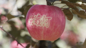 812a5d7c0feeb2935e18a0745cd4aa6b.gif