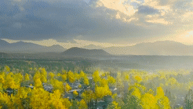 efffb08dd8480bd85d238593a2055441.gif