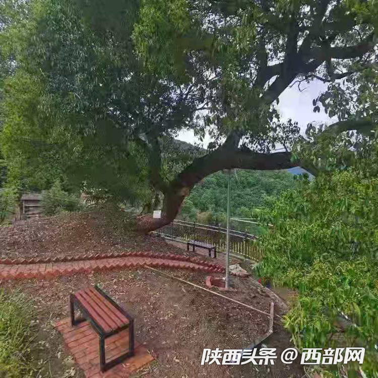 正在上传... cf95ccf1afc3e4cb8b7df9d628725a4f.png