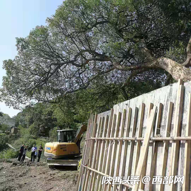 正在上传... 966e483c9d642429dc3f75b37b389750.png