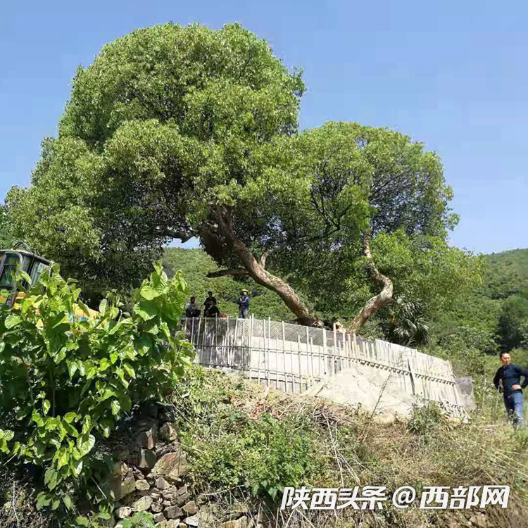 正在上传... c9b8e07bb2b5505de4465bc9bb066d48.png