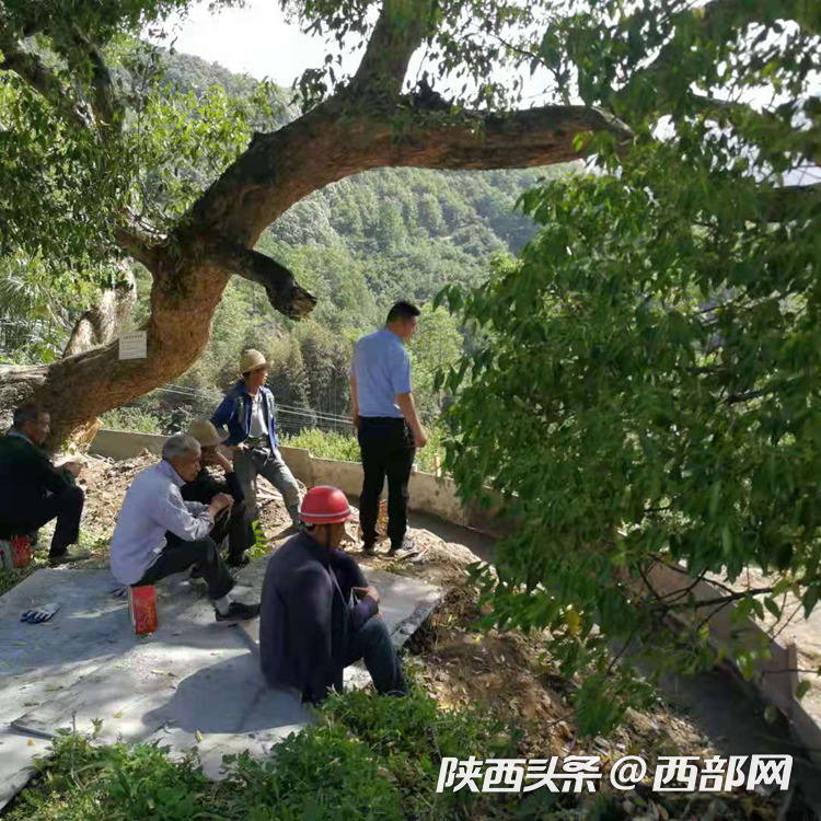 正在上传... 55eef60ff89fb27b785d99b437568d31.png