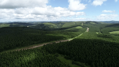f922c89aac5477dd9460b82173036798.gif