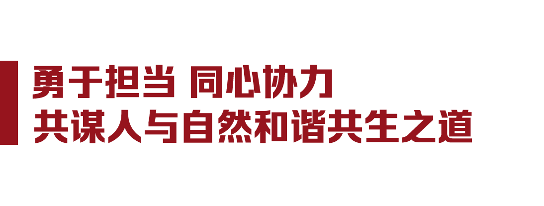 81ed85679418b45686e9499adca0f426.png
