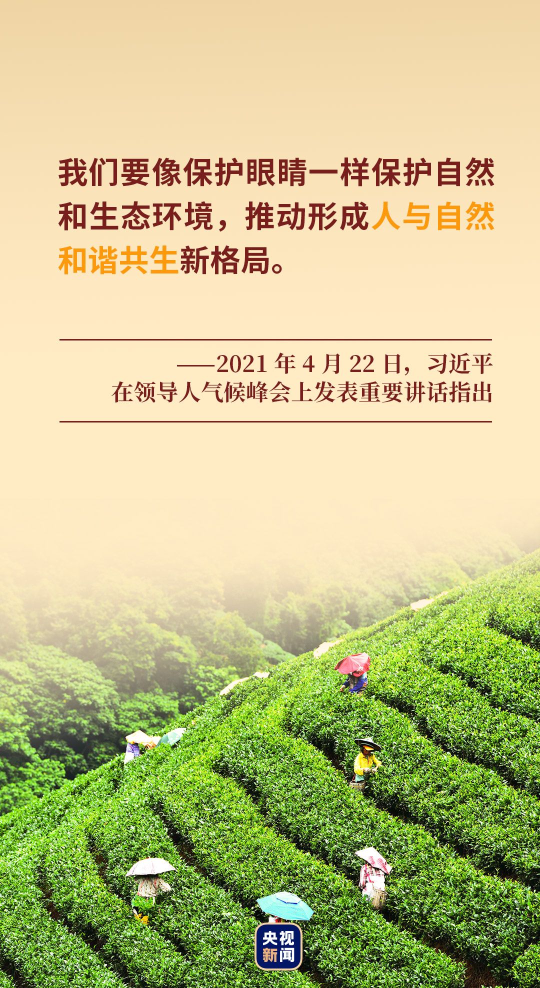 ce16d18f333b8855ea736032cee5b5a5.jpeg