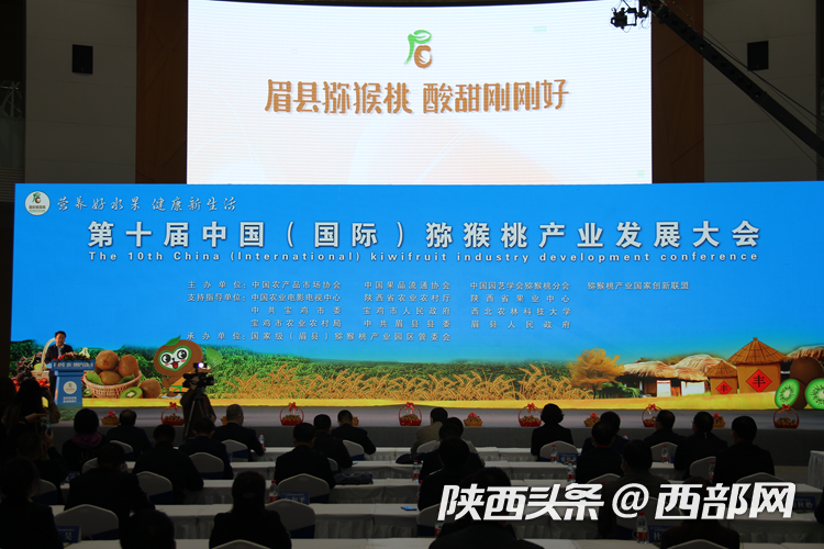 第十届中国(国际)猕猴桃产业发展大会在