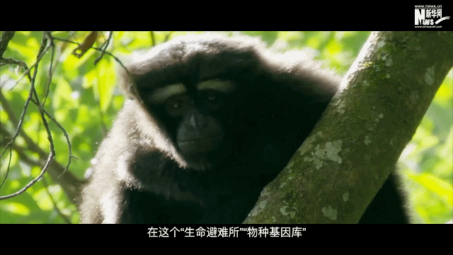 79f5f7cc351a95287a33268ea74c87d5.gif