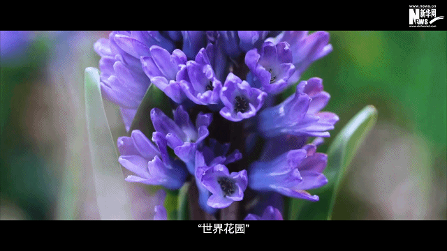 c9aa656cc7433f9e7858c463890e9204.gif