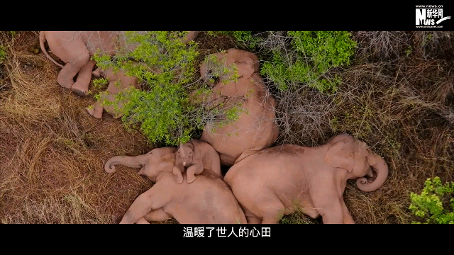 c8423a0d77834dfff3c2d8c113994a6e.gif