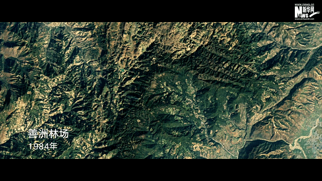 65a414cdfd043438fab52306fde3b539.gif