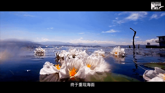 0ce8e78d6018fc8ddc1c9ff2d7f500f1.gif
