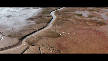 8065288745bd921d2a485012e16bffe1.gif