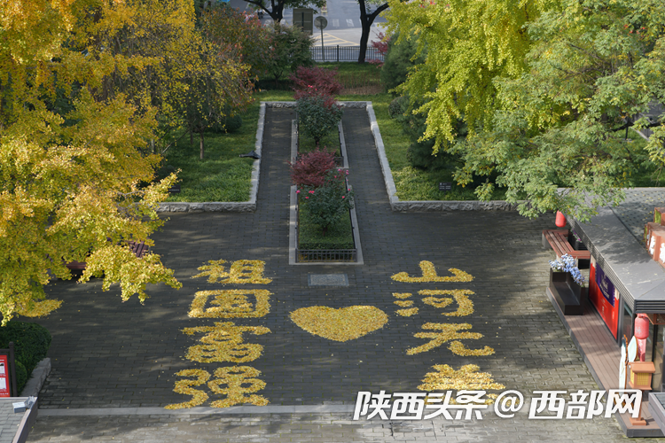 20a1a2d3ab95596b2b140bf537c34b72.png