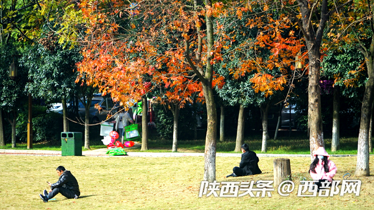 6bcf0518159efc412ce012f41015bb58.png
