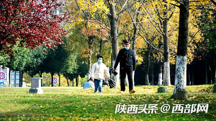 d34c305c821fb6ad99b260415ea76721.png