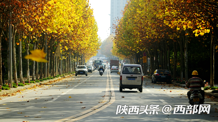 fa6bfaf5a13523644b5cdfabbcab5970.png