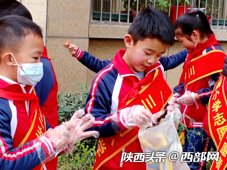 10f040fd6994ab5663fcf6a6067394ec.png