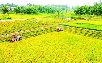 开局之年，交上高质量“成绩单”