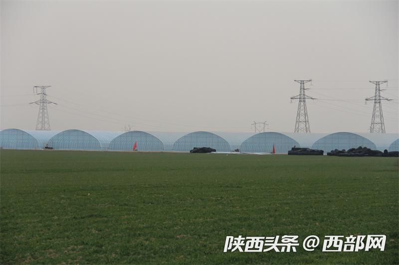 32fcdb905cfa8038430ab35c64b0401b.jpg