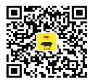 f488525213b4192ea25882111d63e2bb.png