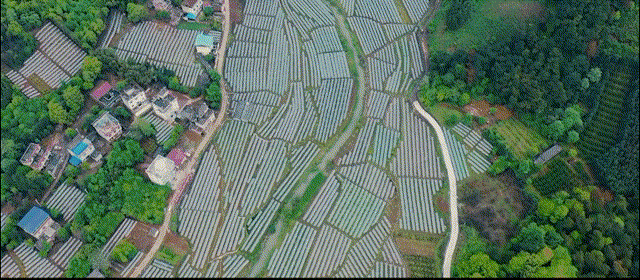 07cd008a44e5287513c477ab4c36bb70.gif