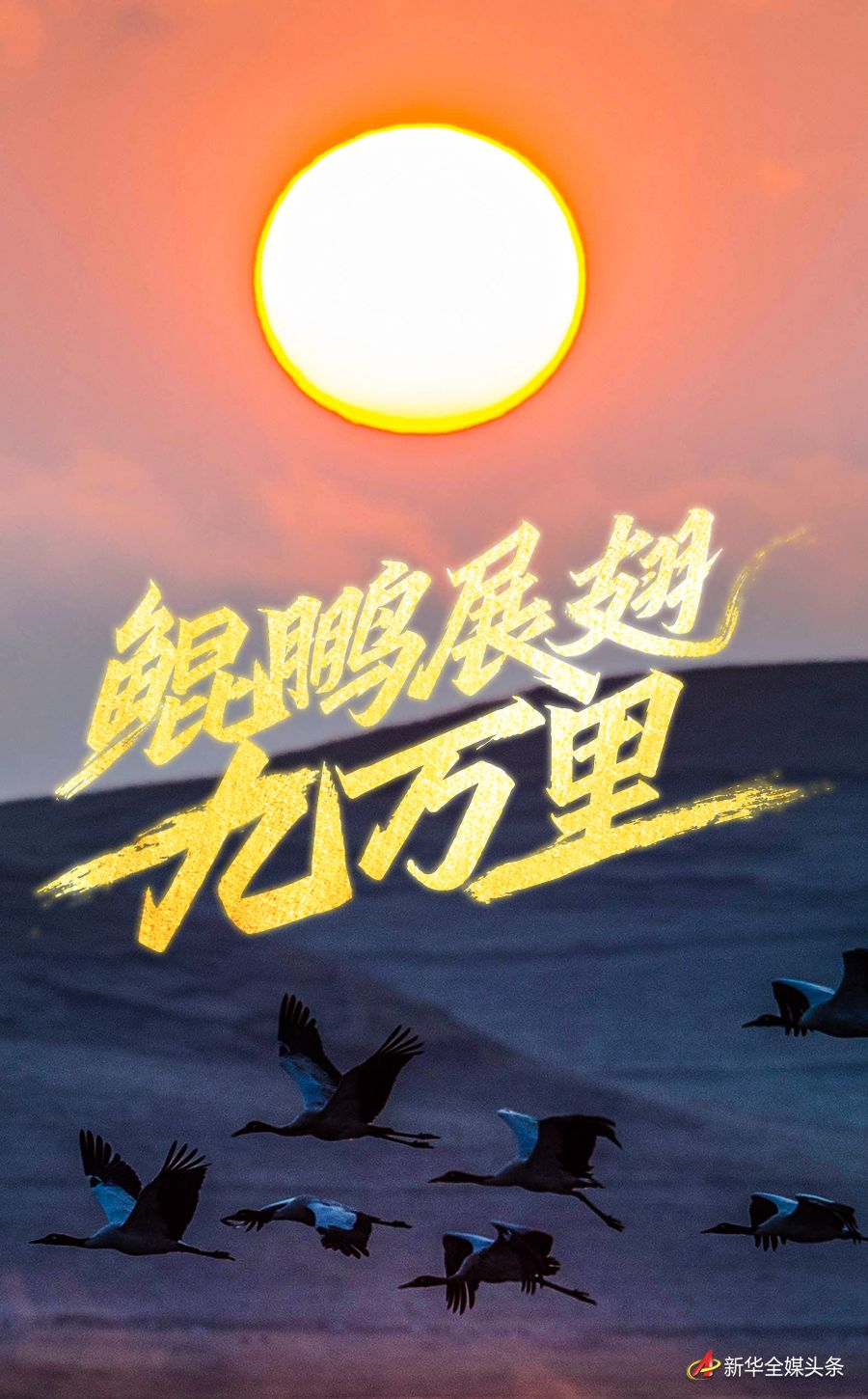 26e59d71e1abbe21e2fe7442593c132c.jpeg