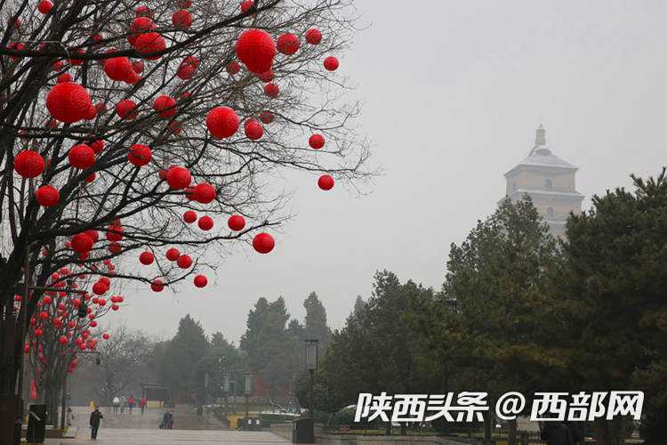 正在上传... 03d14330d67656c78e6cd373e4191187.png