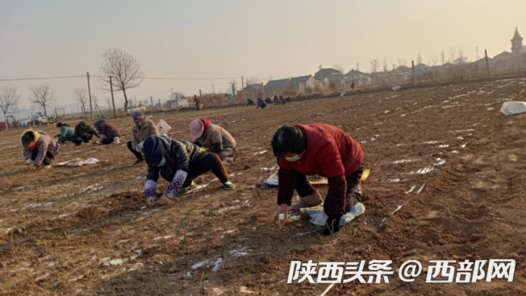 正在上传... 6d868372bdf8fb12a49a6bea8ba7e1c9.png