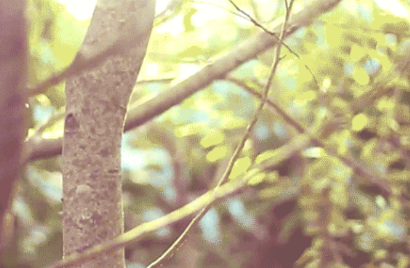 8fdfa598dc39033054051224a4e7c310.png