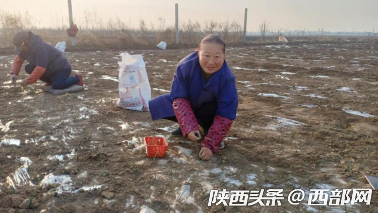 正在上传... aa894a93513486acdeb18f0784db48b8.png