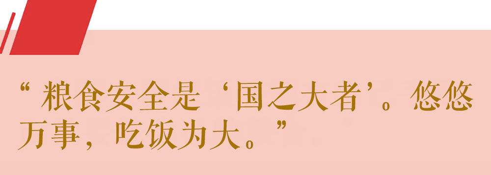 129d4c97c7982dca30c6c418ecea4985.jpeg