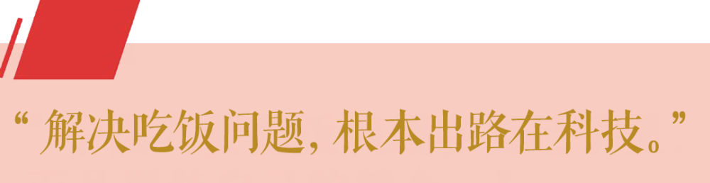 cbacdb43e38cb6389dd6dc802bc59194.jpeg