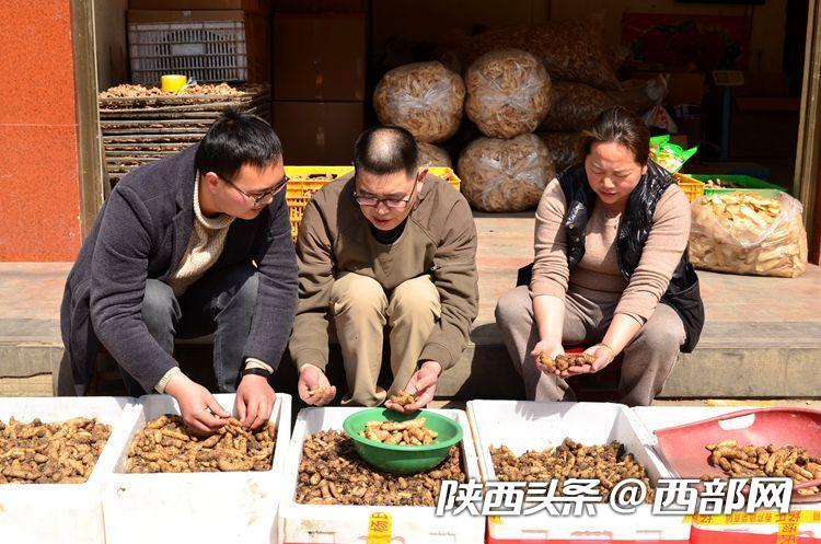 4877549faa8a6fe93d59cad86e821f60.jpeg