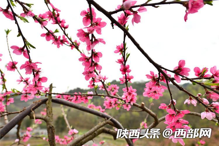 a12cf1840493b78f09146026cb111f09.jpg