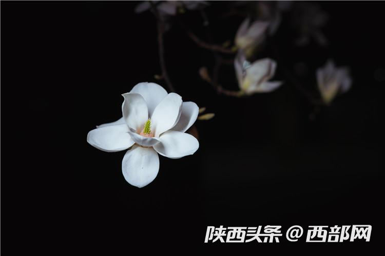 36148eb3cca1dba0ff8e0cea1314e091.jpg