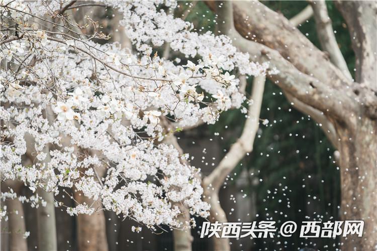 3e8fbacfaa8062282c0d9590f8cc14ae.jpg