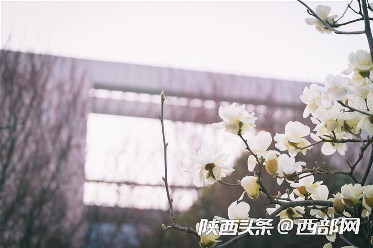 621a8156ba860decef9f219478ecce60.jpg