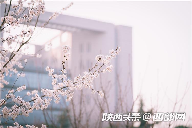 b8183a48328b8ec599b53342667154e5.jpg