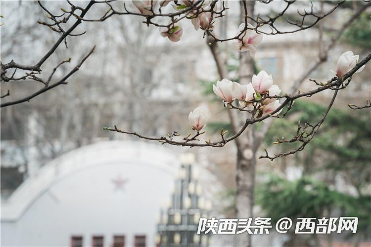 db1568230ca878c0fe12ac5b47092bc2.jpg