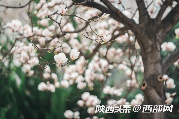 e5a98c14c4eaf907ba4ccfb15e3208dc.jpg