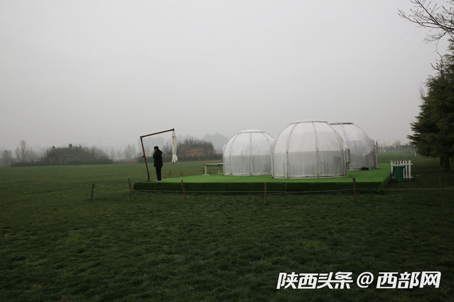 cefa476c2e6b34b53a3d4ba65e499480.png
