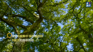 57543968c34bf5d72325141de0b2bd77.gif