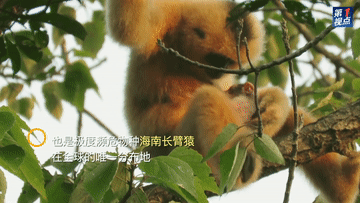 650d1880c3b7e8e514960bb07e73c161.gif