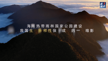 8569ab33c2f3ca09afea3d4fc6efa9e6.gif