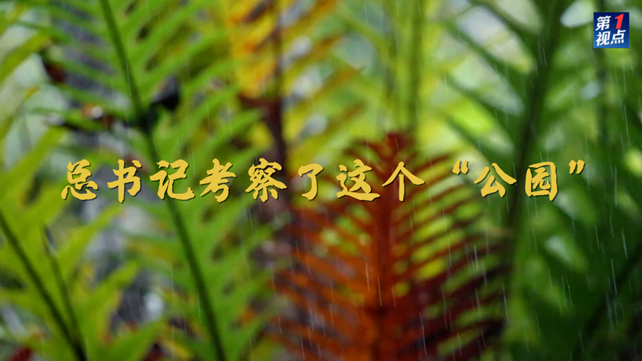 c295fb38210431d323ddb6cb2852d630.png