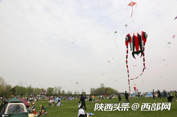 8d139db3d23feb597fe276422c510d9b.jpeg