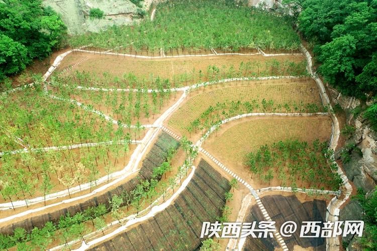 正在上传... 47abf445ccd890796d3e9578157cea25.jpeg